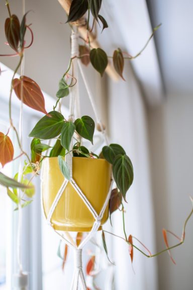 Makramee Blumenampel Makramee Blumenampel